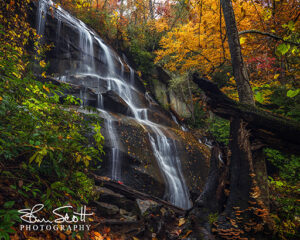 Daniel Ridge Falls