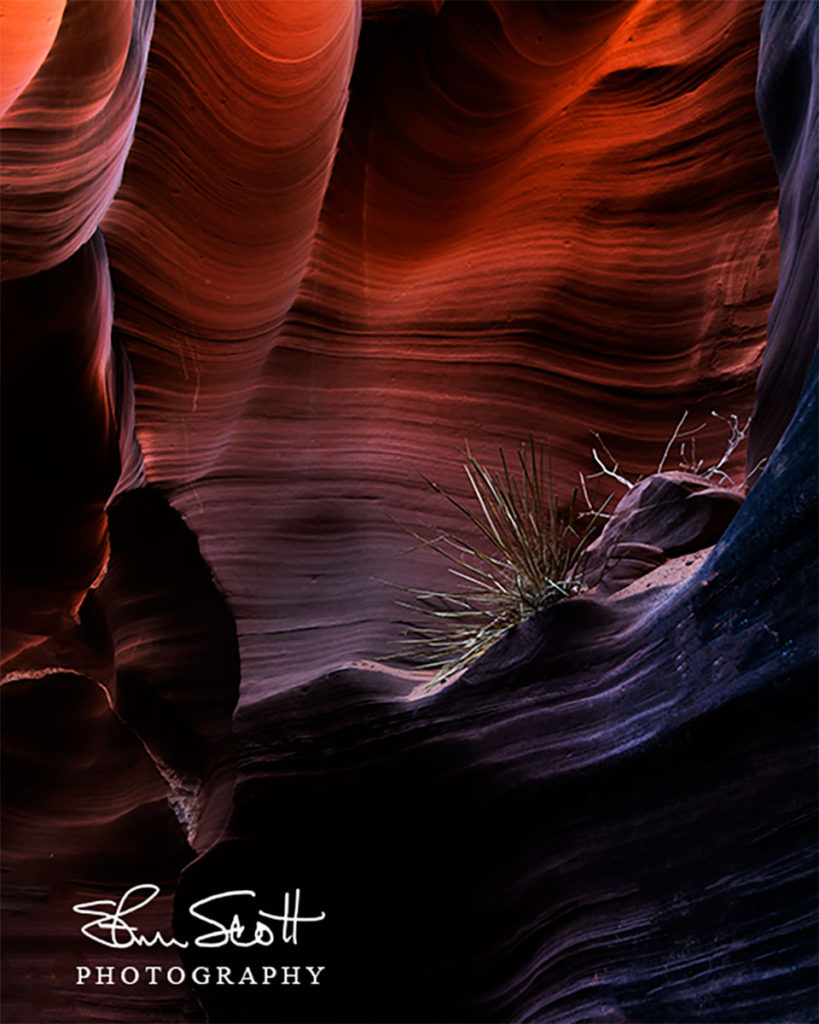 Upper Antelope Three by Steve Scott