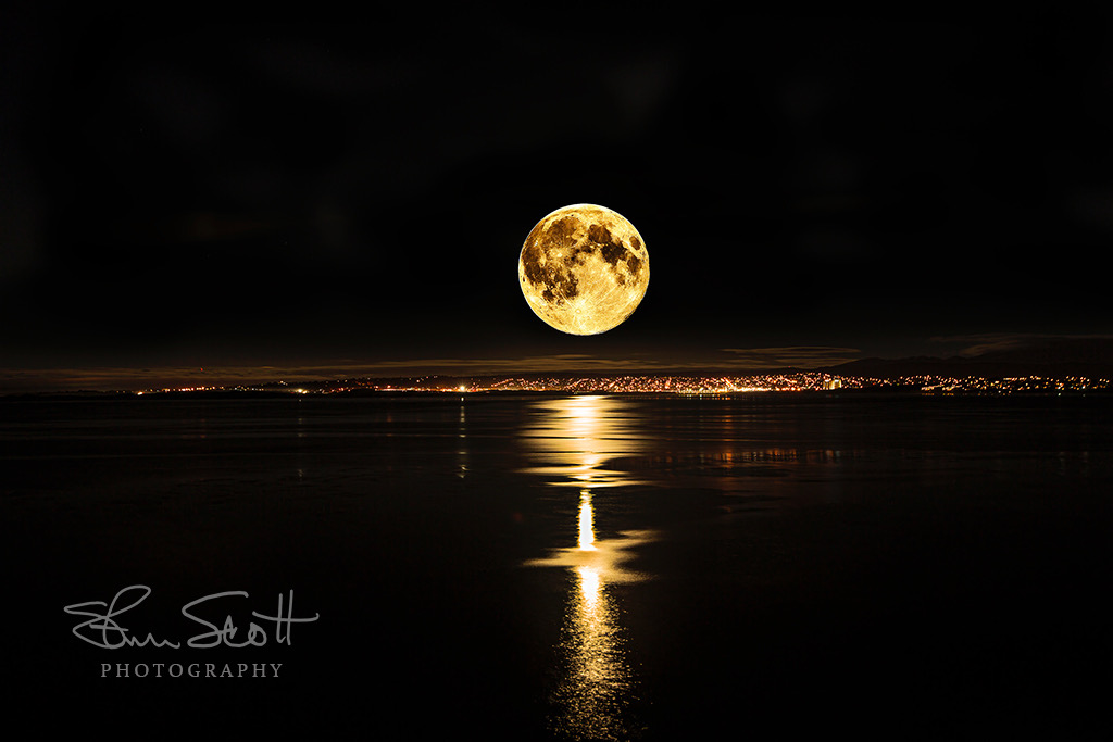 Moonlit Monterrey Bay by Steve Scott Photography